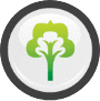 Environmental Wellness